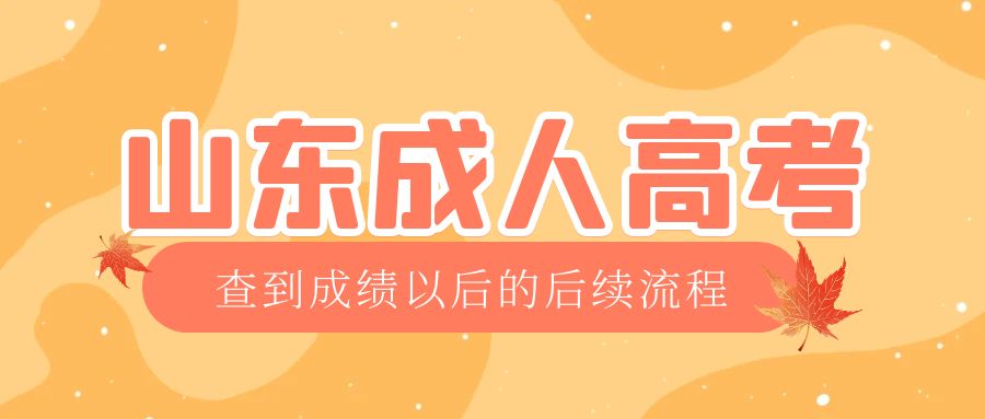 宁津成考查完成绩以后做什么，宁津成考网